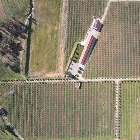 Quinta Lourena - Casa Do Caseiro קוביליה