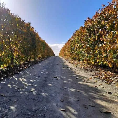 בית חווה Quinta Lourena - Casa Do Caseiro *