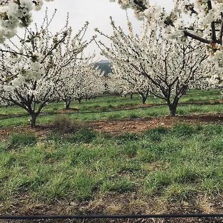 בית חווה Quinta Lourena - Casa Do Caseiro *