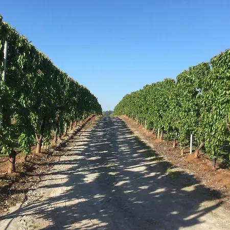 Quinta Lourena - Casa Do Caseiro Bauernhof *