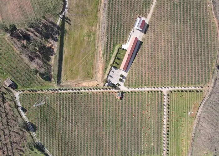 Quinta Lourena - Casa Do Caseiro コビリャン