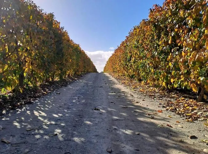 ファームステイ Quinta Lourena - Casa Do Caseiro *