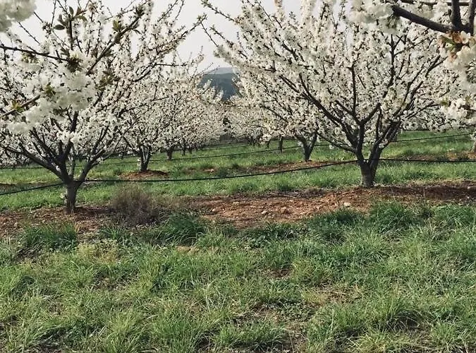 ファームステイ Quinta Lourena - Casa Do Caseiro *