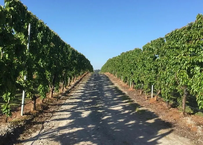 Quinta Lourena - Casa Do Caseiro Alojamento de Turismo Rural *